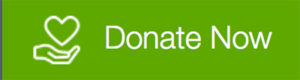 donate now website