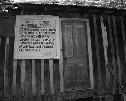 2-Marie-Hall-Jones-Ancient-Forest-Dedication-6.11.16