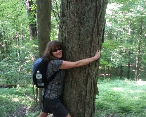 9c-Marie-Hall-Jones-Ancient-Forest-Dedication-6.11.16