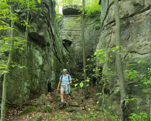 Needleseye-Park-20180519_132212_low