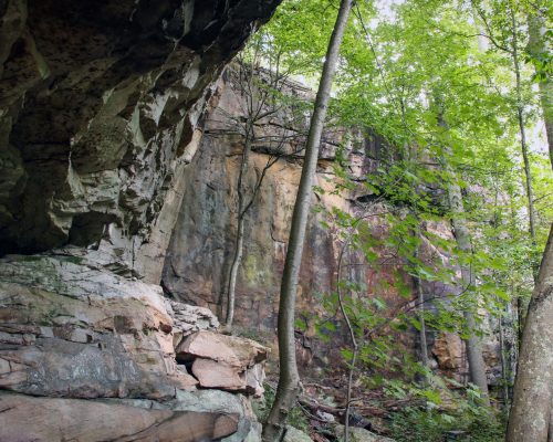 Needleseye-Park-WVLT_Oak_Hill_cliffs_IMG_7279