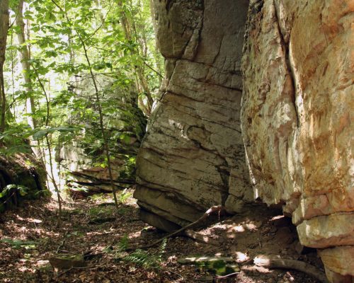 Needleseye-Park-WVLT_Oak_Hill_rocks_IMG_7317-1